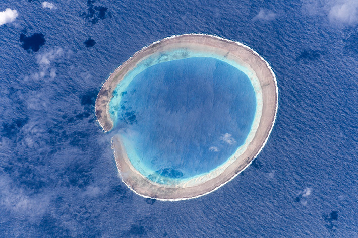 Коралловые Рифы Республики Минерва